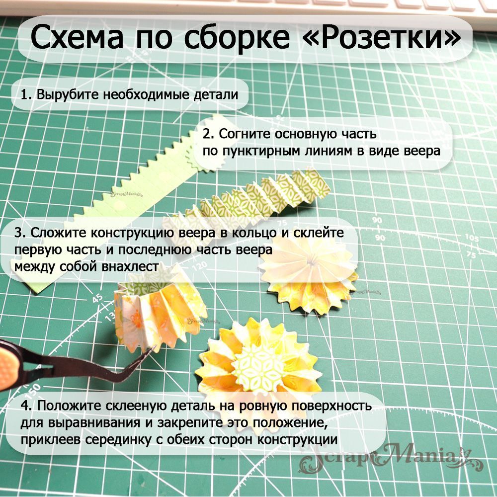 Нож "Розетка. Зубчатая", 2,5х14 см (ScrapMania)