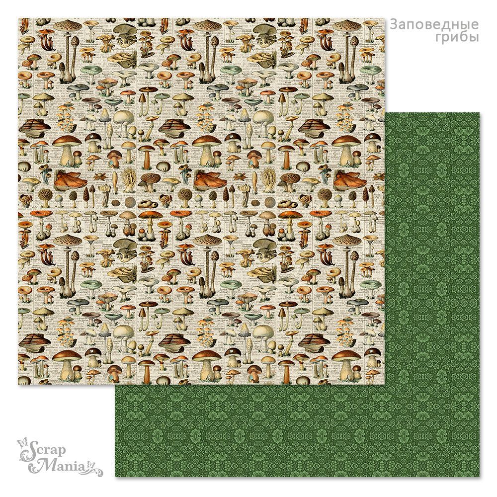 Бумага «Заповедные грибы. Кладовая» (ScrapMania)