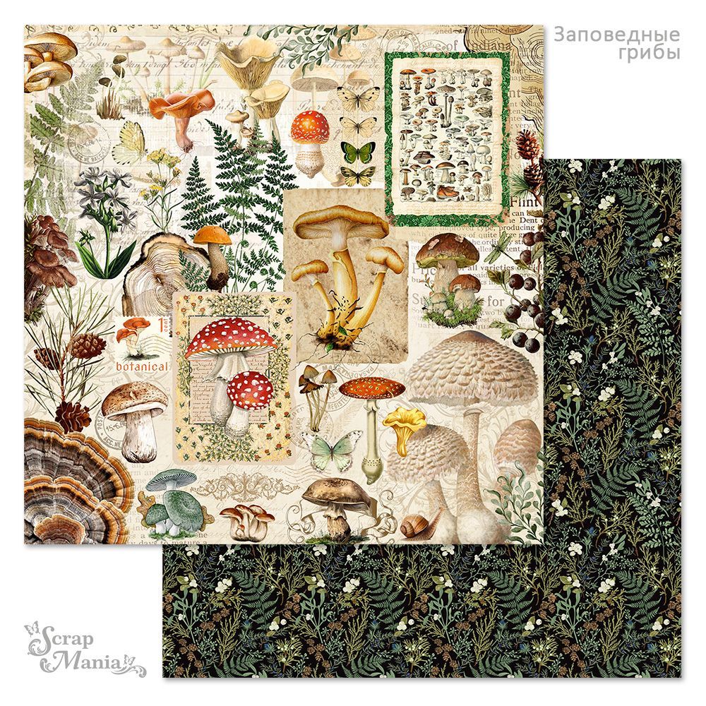 Бумага «Заповедные грибы. Осенний урожай» (ScrapMania)