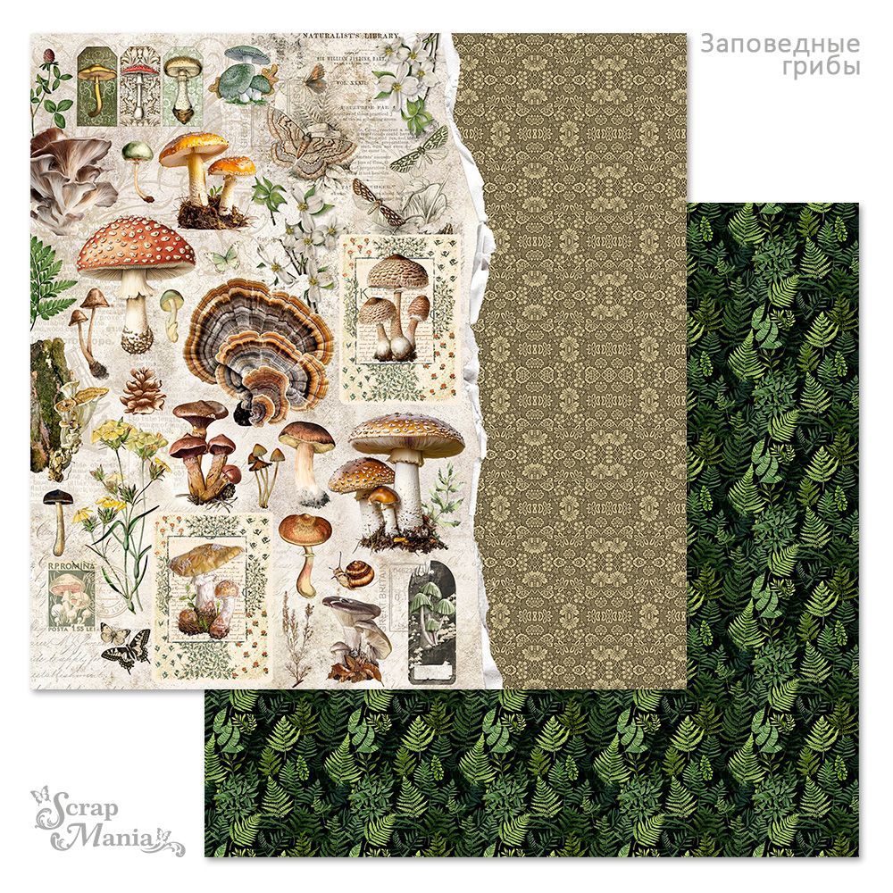 Бумага «Заповедные грибы. Дары леса» (ScrapMania)