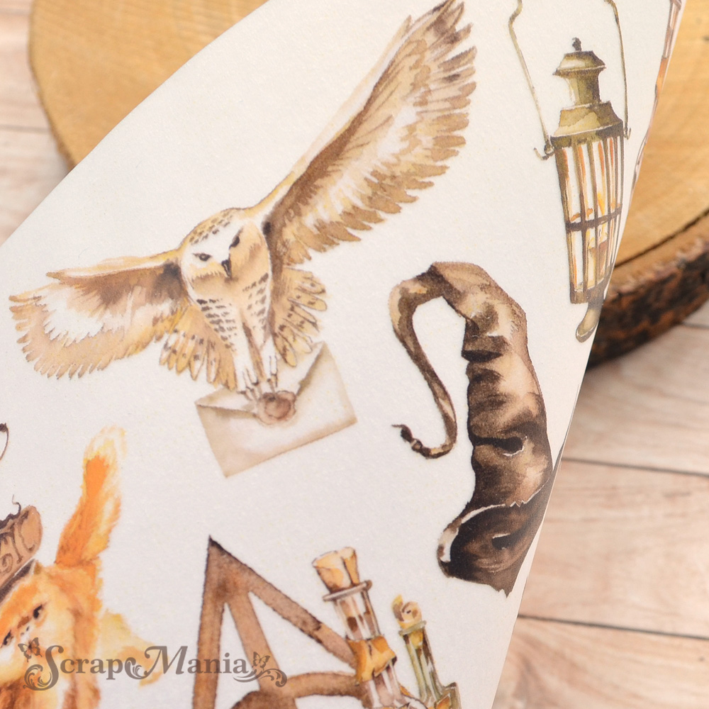 Лист веллума А4 "Волшебник" (ScrapMania)