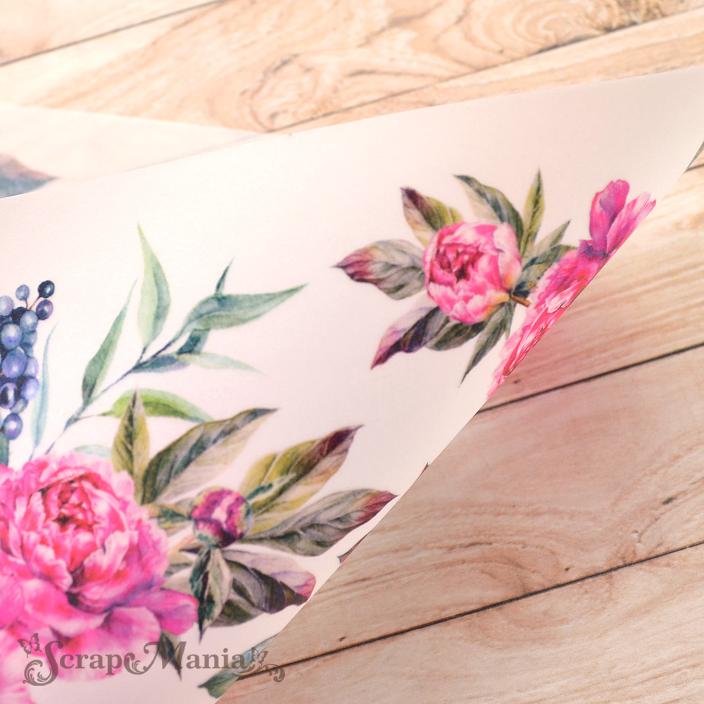 Лист веллума А4 "Пионовый роман" (ScrapMania)