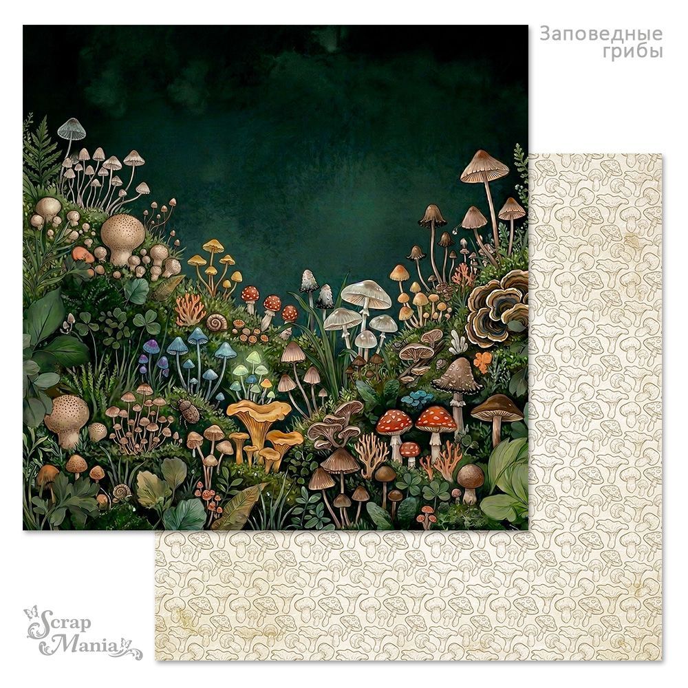Бумага «Заповедные грибы. Тропинка» (ScrapMania)