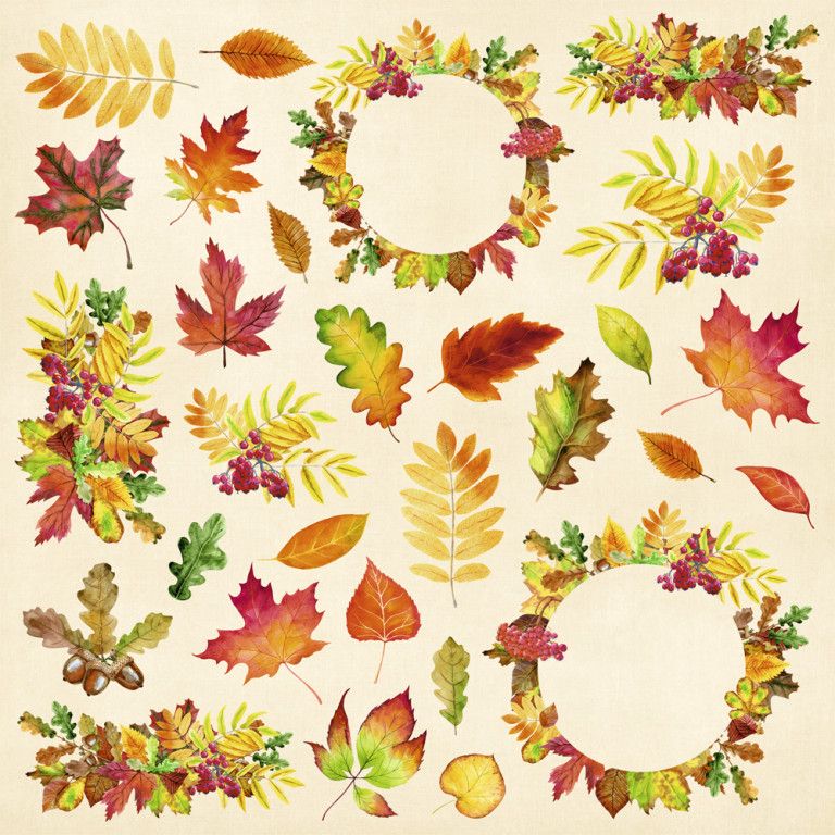 Бумага "Школьный вальс. Картинки" (ScrapMania)