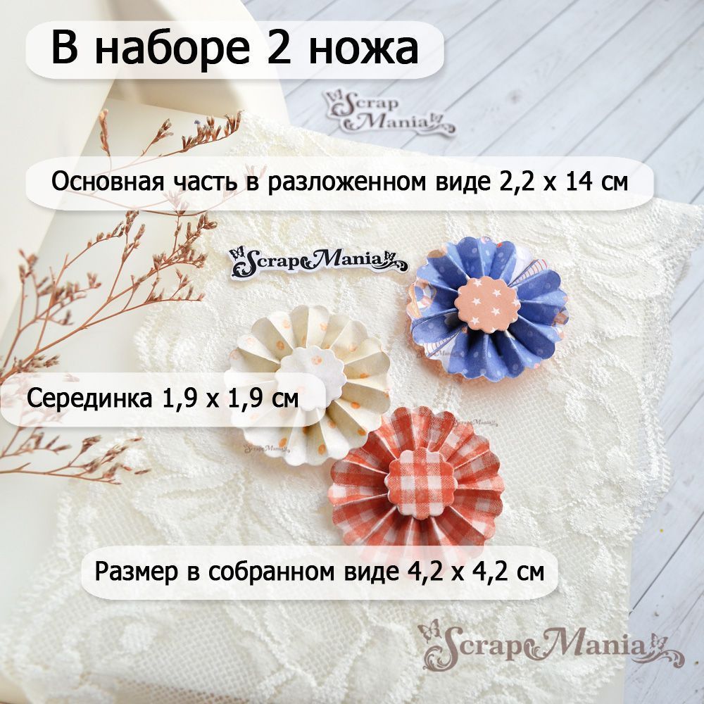 Нож "Розетка. Волна", 2,2х14 см (ScrapMania)