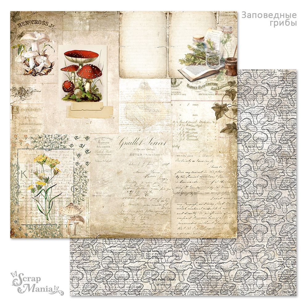 Бумага «Заповедные грибы. Лесные духи» (ScrapMania)