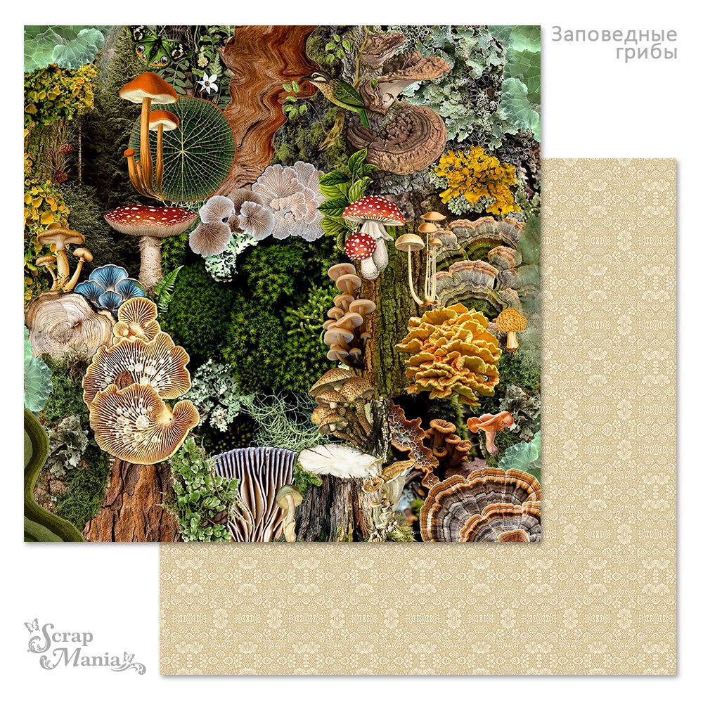 Бумага «Заповедные грибы. Атлас» (ScrapMania)