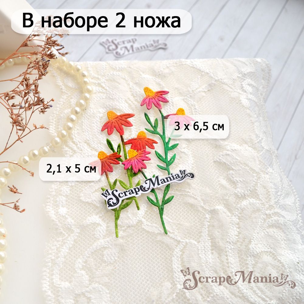 Нож "Длинные растения. Цветок эхинацеи", 3х6,5 см (ScrapMania)
